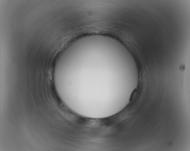 X0000111380127200907100946