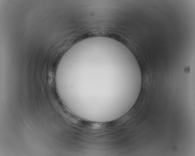 X0000111380130200907100946