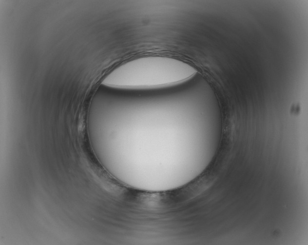 X0000111380131200907100946