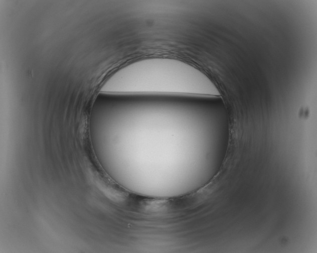 X0000111380132200907100946