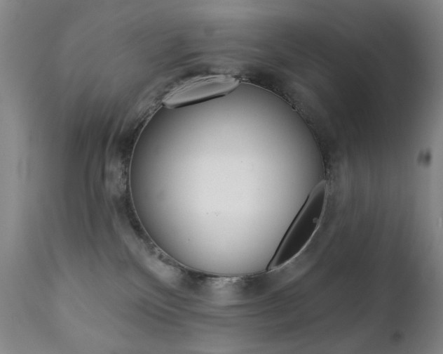 X0000111380136200907100946
