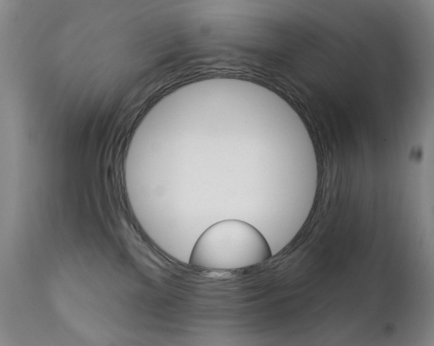 X0000111380137200907100946