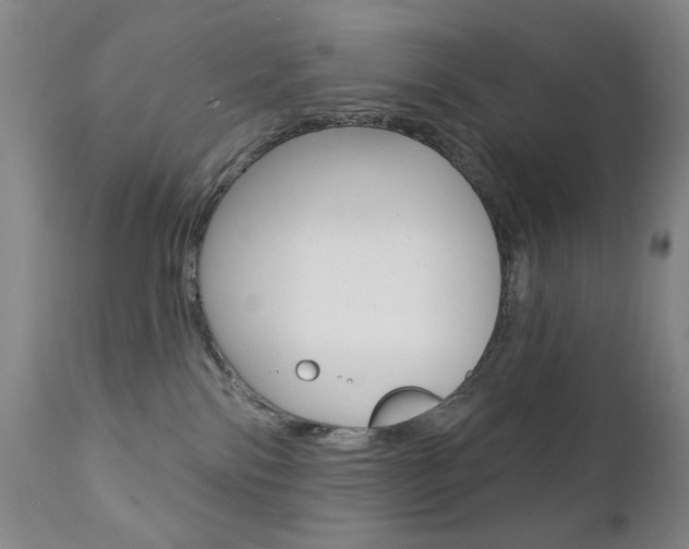 X0000111380138200907100946