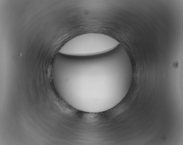 X0000111380139200907100946