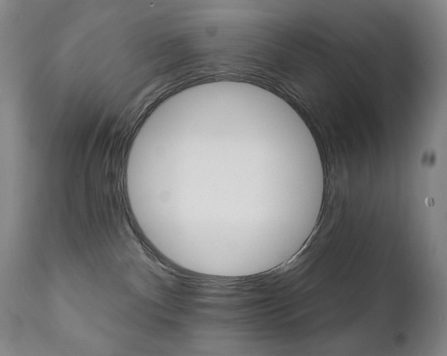 X0000111380140200907100946