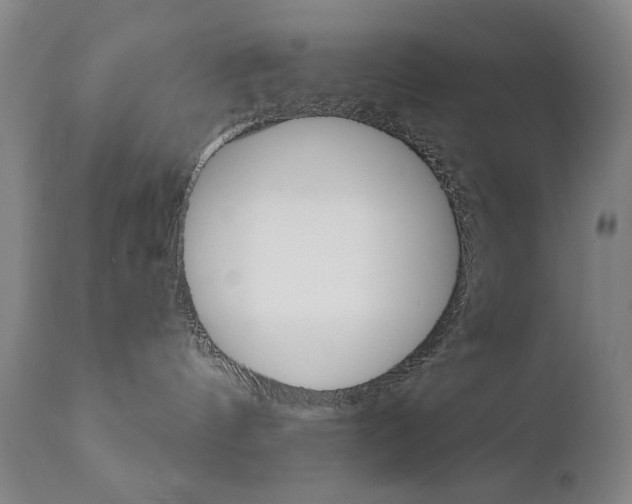X0000111380144200907100946
