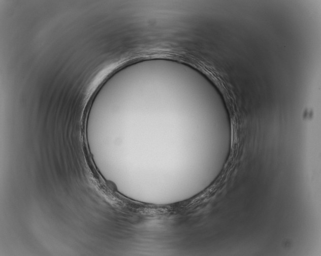 X0000111380147200907100945