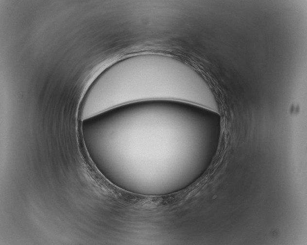 X0000111380148200907100945