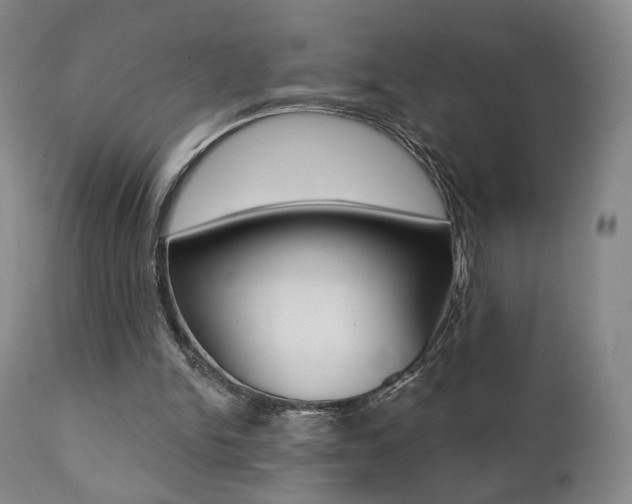 X0000111380150200907100945