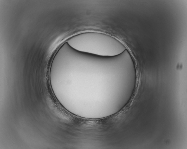 X0000111380151200907100945