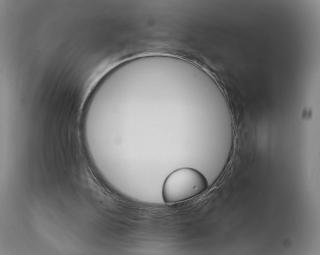 X0000111380152200907100945