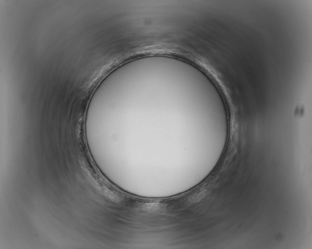 X0000111380153200907100945