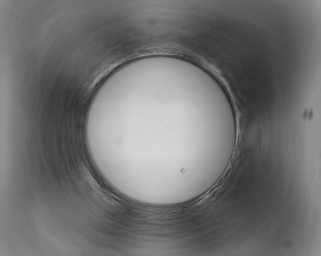 X0000111380154200907100945