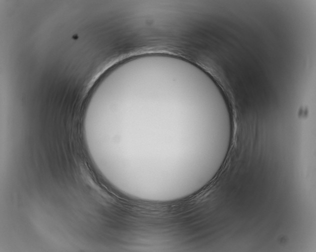 X0000111380156200907100945