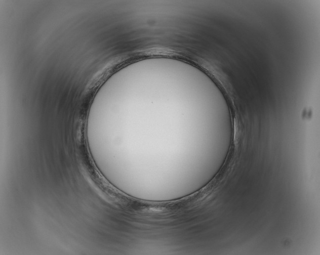 X0000111380157200907100945