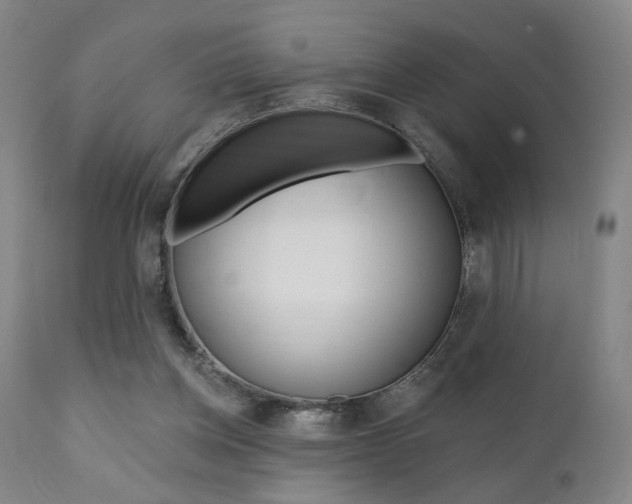 X0000111380158200907100945