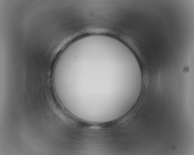 X0000111380159200907100945