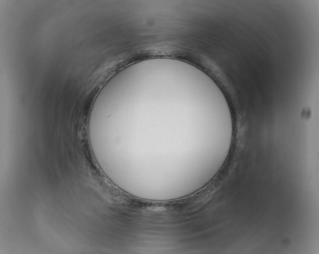 X0000111380161200907100946