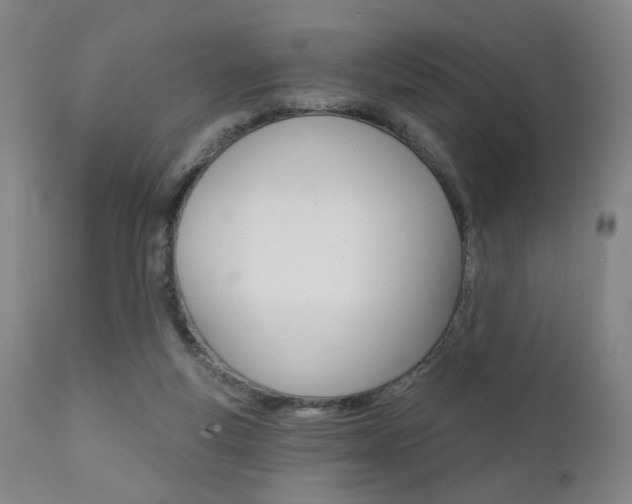X0000111380163200907100946