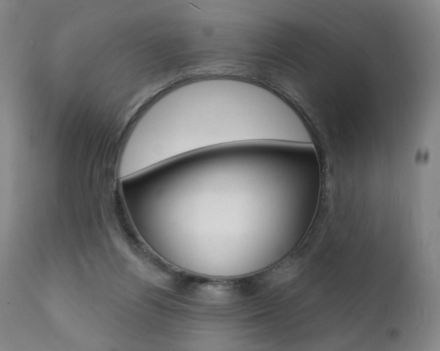X0000111380164200907100946