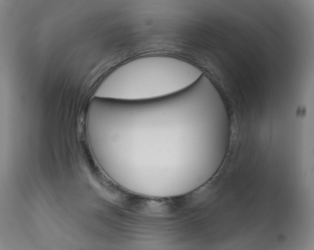 X0000111380166200907100946