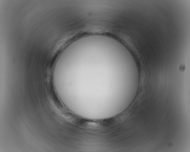 X0000111380167200907100946
