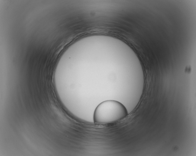 X0000111380168200907100946