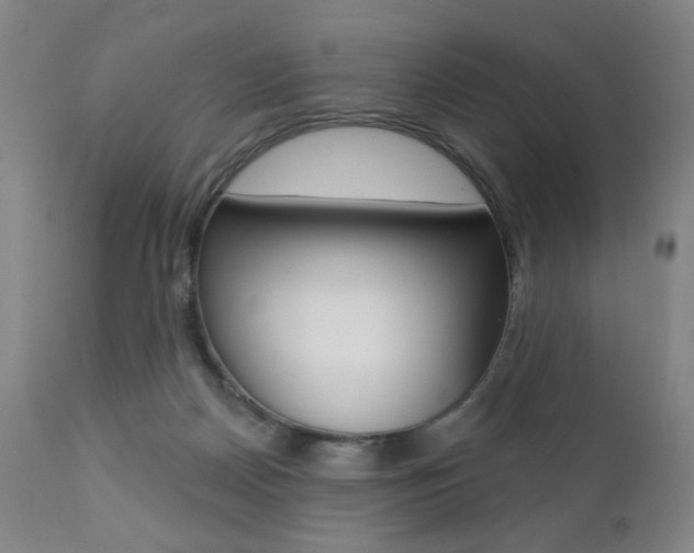 X0000111380170200907100946