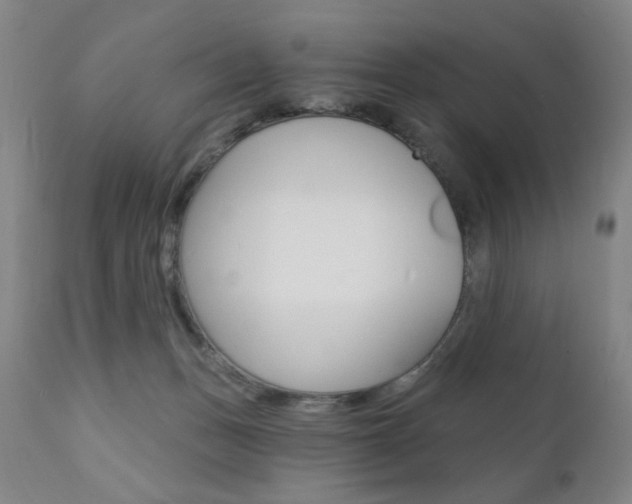 X0000111380175200907100946