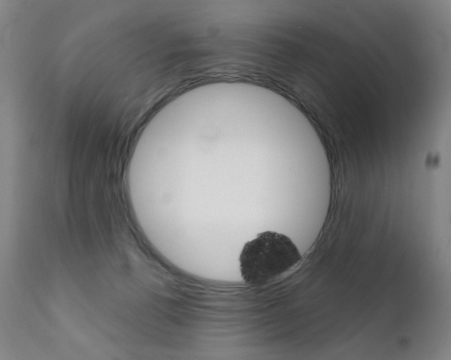 X0000111380176200907100946