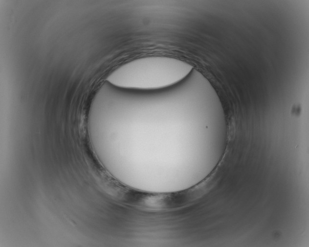 X0000111380178200907100946