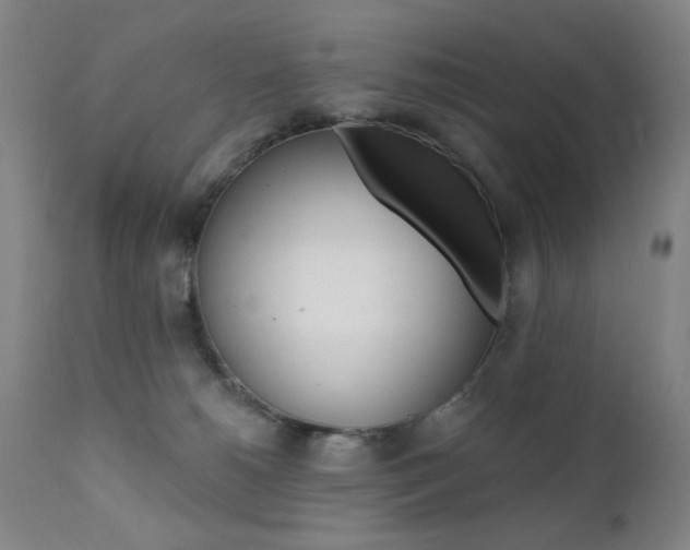 X0000111380180200907100946