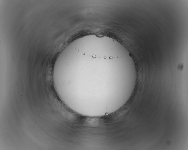 X0000111380181200907100946