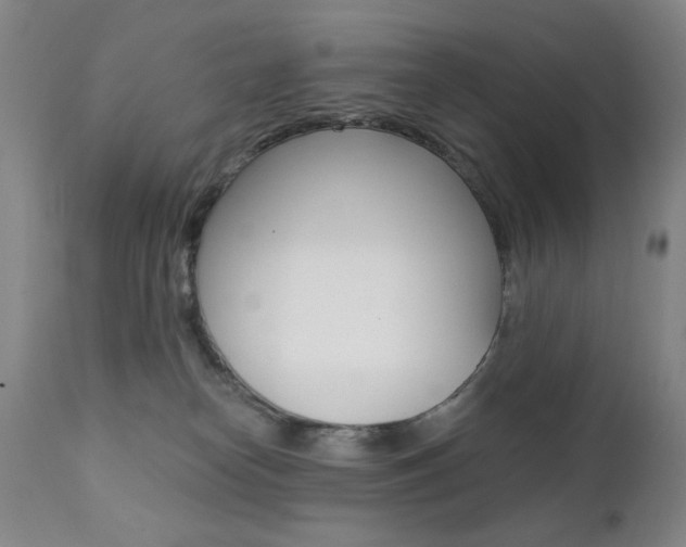 X0000111380182200907100946
