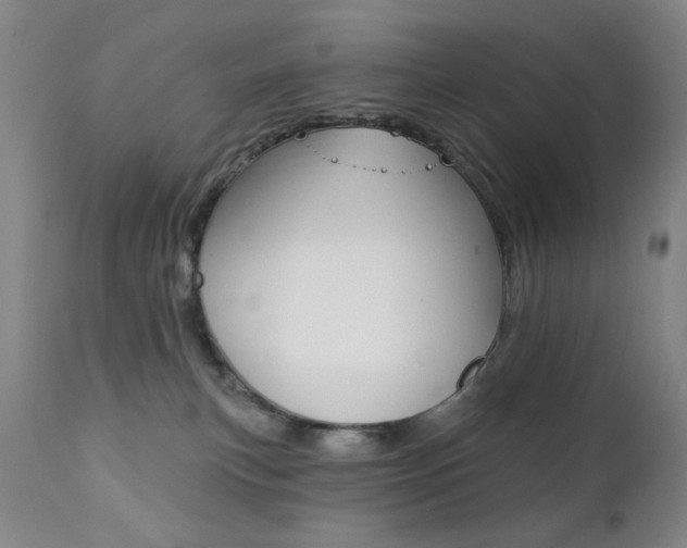 X0000111380183200907100946