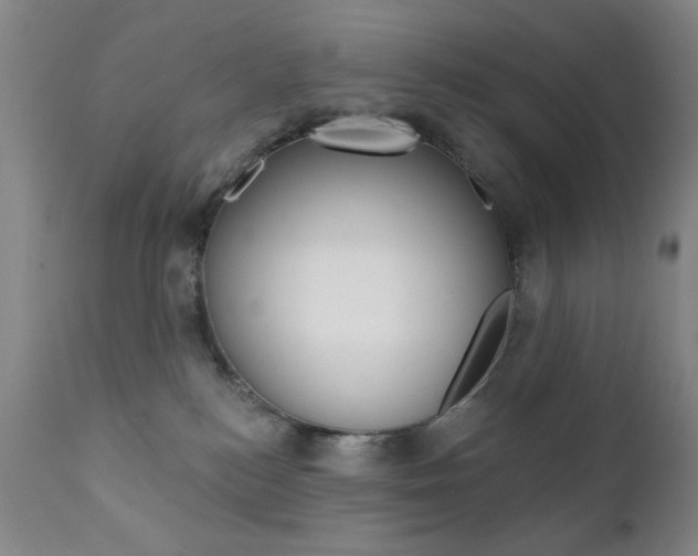 X0000111380184200907100946