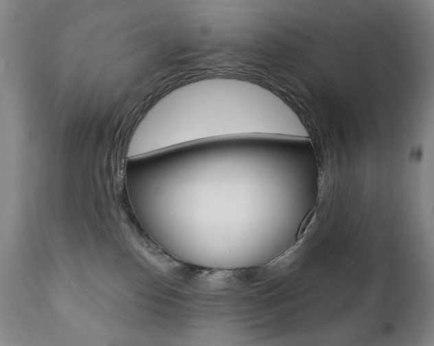X0000111380186200907100946
