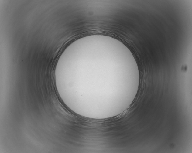 X0000111380188200907100946