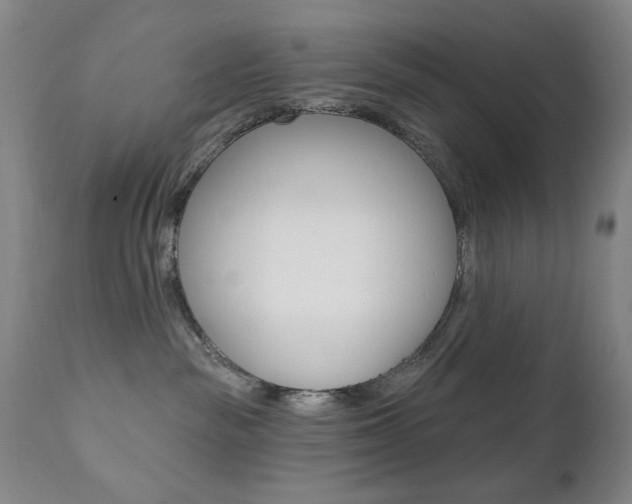 X0000111380189200907100946