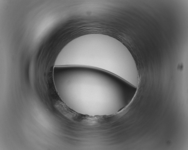 X0000111380190200907100946