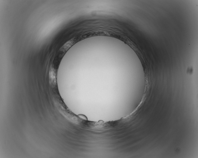 X0000111380191200907100946