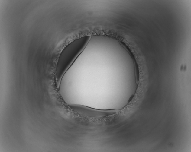 X0000111380192200907100946