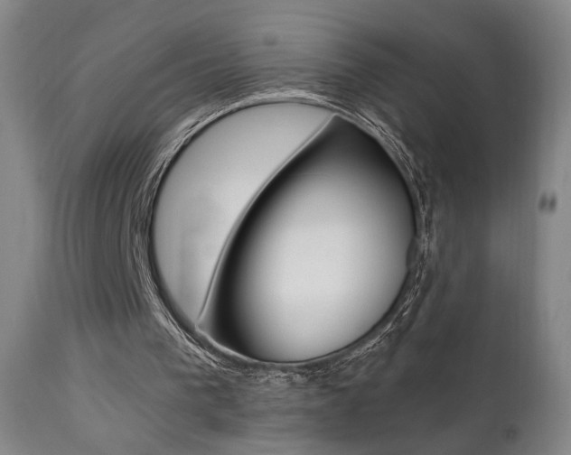 X0000111380193200907100945