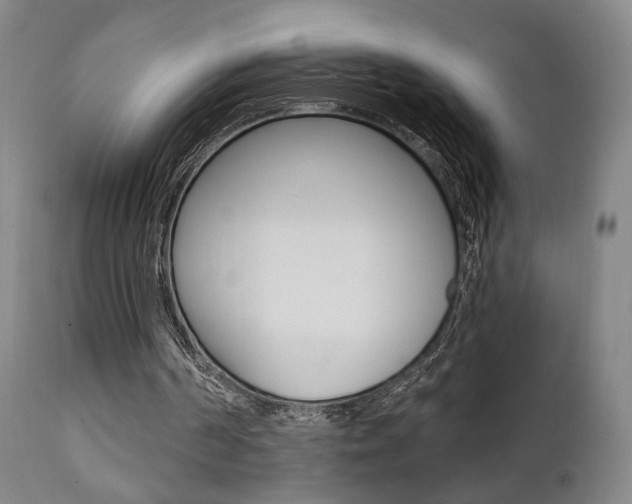 X0000111380194200907100945