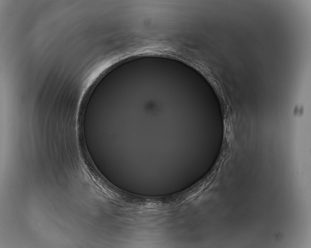 X0000111380196200907100945