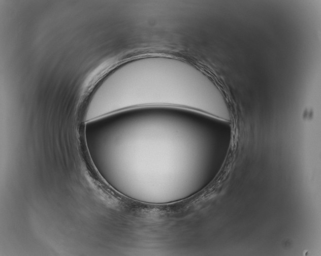 X0000111380197200907100945