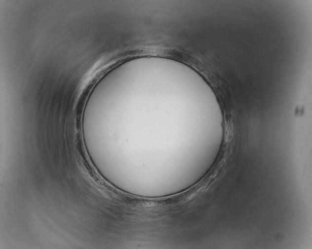 X0000111380198200907100945