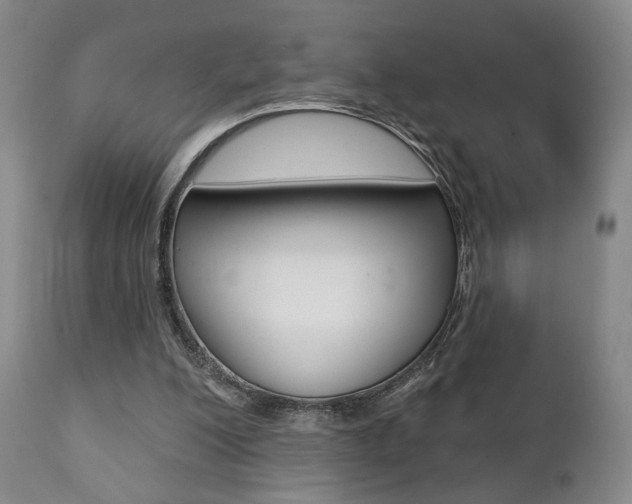 X0000111380200200907100945