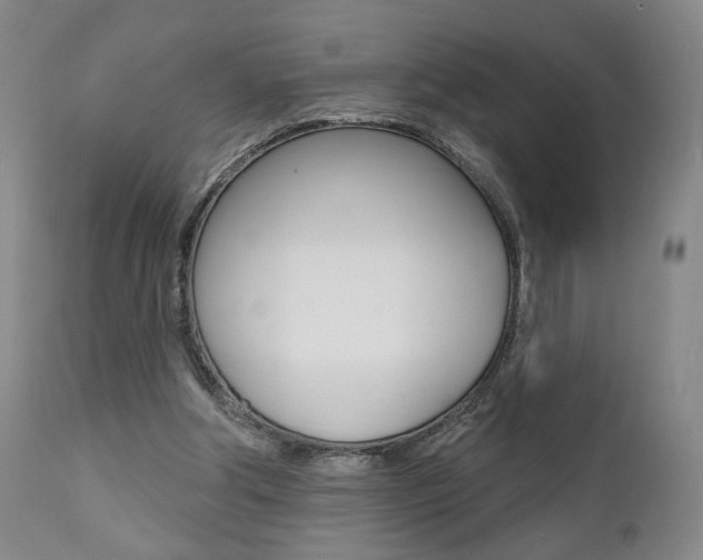 X0000111380202200907100945