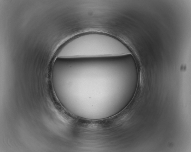 X0000111380204200907100945
